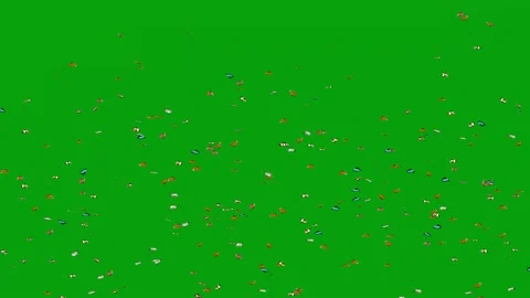 Flying colourful butterflies motion graphics with green screen background Stock Footage 147680913