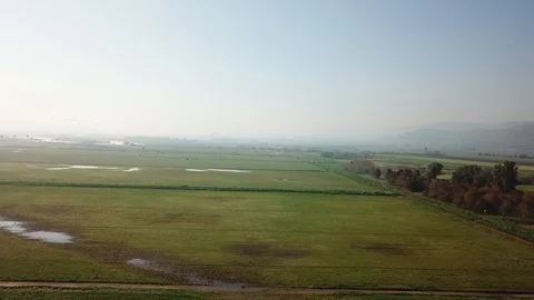 Flying with Common Cranes aerial view Stock Footage 109582289