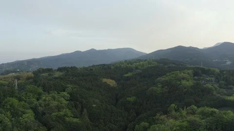 Flying on a copter over the mountains covered with forest Stock Footage 110702068