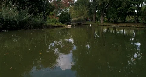 Flying copter over Neckar River with swimming ducks flowing along the beautiful Stock Footage 87552614