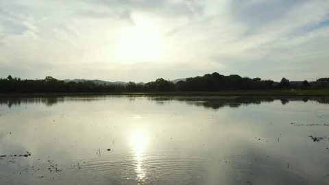 Flying a copter over a rice paddy in Japan at sunset Stock Footage 109379996