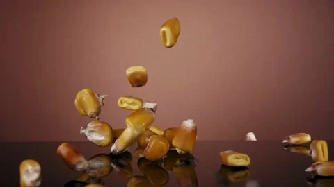 Flying corn grains on a brown background. Super slow-motion. 스톡 동영상 150066256