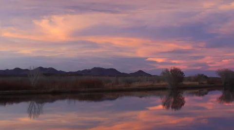 Flying Cranes Magenta Sunset Reflected in Glassy Pond Video stock 59680281