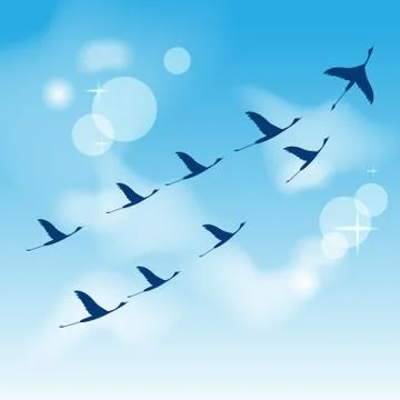 Flying cranes. May 9 Russian holiday of victory. 스톡 일러스트