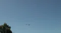 Flying Cranes near the sun HD Footage