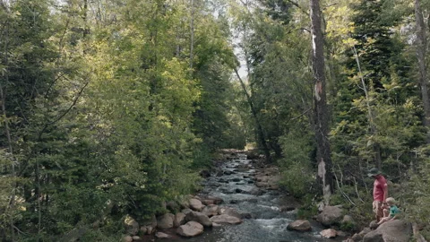 Flying Up Creek In Forest. 스톡 동영상 243058191