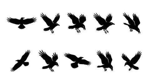 Flying crow silhouettes in multiple poses for horror and nature designs Stock Illustration
