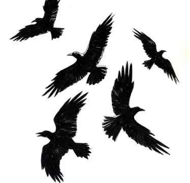 Flying crows Illustrazione stock