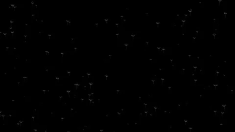 Flying dandelion background video 4k Stock Footage 251321457