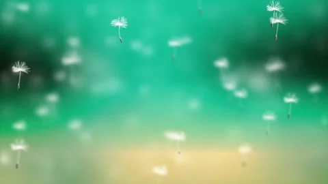 Flying Dandelions for After Effects After Effects stock