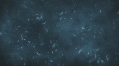 Flying dandelions after a gust of wind Stock Footage 43926721