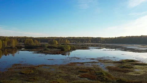 Flying at dawn over a lake surrounded by yellow trees.Golden autumn.Aerial photo Stock-Footage 163587891