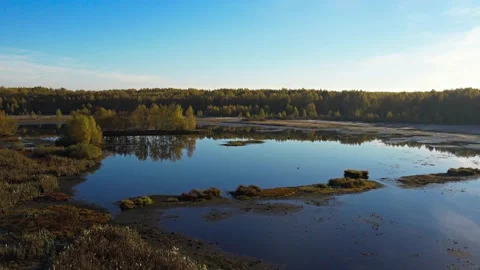 Flying at dawn over a lake surrounded by yellow trees.Golden autumn.Aerial photo Stock Footage 164424815