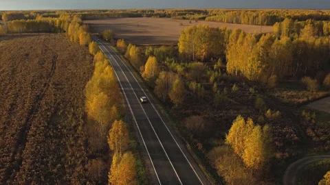 Flying at dawn over a lake surrounded by yellow trees.Golden autumn.Aerial photo Stock Footage 164424997
