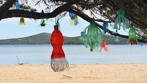 Flying decorations on a tree made of colored plastic bottles, with a beach  Stock Footage 105225910