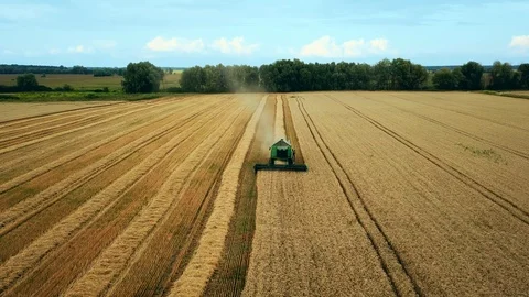 Flying directly above combine Stock Footage 126237662