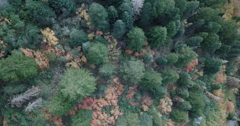 Flying DJI Mavic Pro through Ogden, Utah canyons in the summer. Stock Footage 106542493