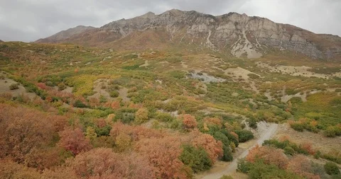 Flying DJI Mavic Pro through Ogden, Utah canyons in the summer. Stock Footage 106542688