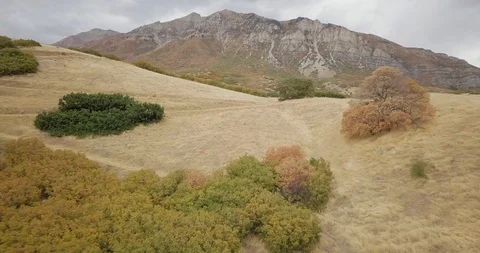 Flying DJI Mavic Pro through Ogden, Utah canyons in the summer. Stock Footage 106542698