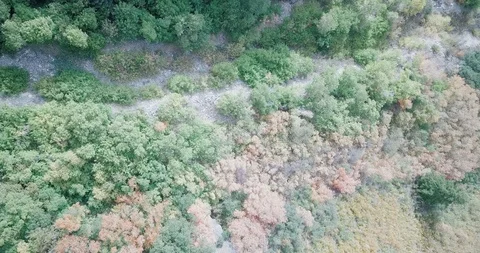 Flying DJI Mavic Pro through Ogden, Utah canyons in the summer. Stock Footage 106542701