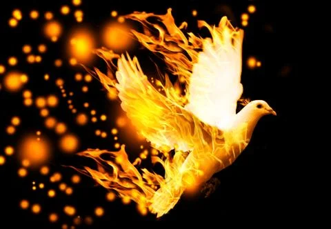 Flying dove on fire Stock Photos