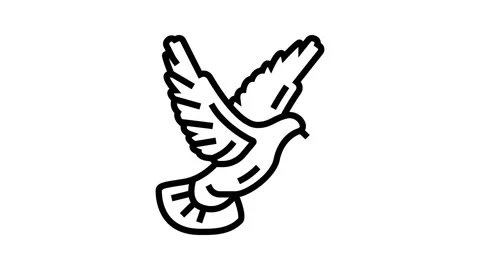 Flying dove line icon animation Stock Footage 224408341