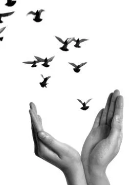 Flying dove with open hand Stock Photos
