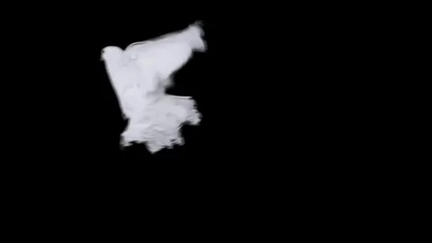 Flying dove in slow motion Stock Footage 76678713