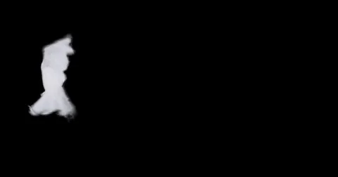 Flying dove in slow motion Stock Footage 76678961