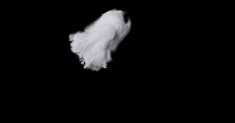 Flying dove in slow motion Stock Footage 76679055