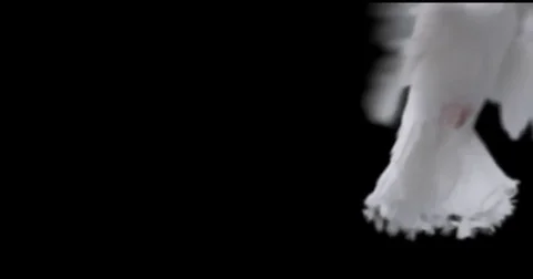 Flying dove in slow motion Stock Footage 76679083