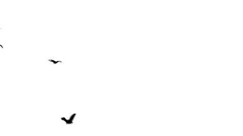 Flying doves background Stock Footage 100648385