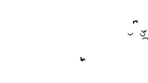 Flying doves background Stock Footage 100648442