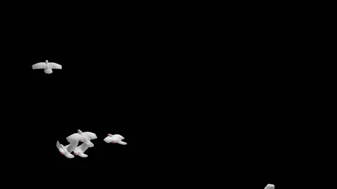 Flying doves matted straight unmatted Stock Footage 100648570