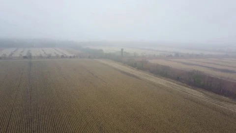 Flying Down from the Clouds to a Winter Crop Field on a Foggy Day Stock Footage 83635139