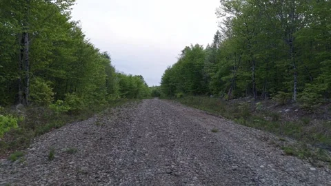 Flying down the dirt road 5-23-26 스톡 동영상 341401437