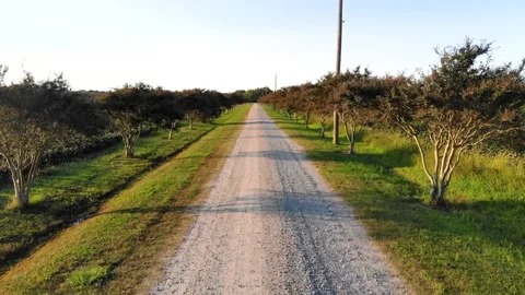 Flying down driveway in Cape Charles, Virginia Stock Footage 142325927