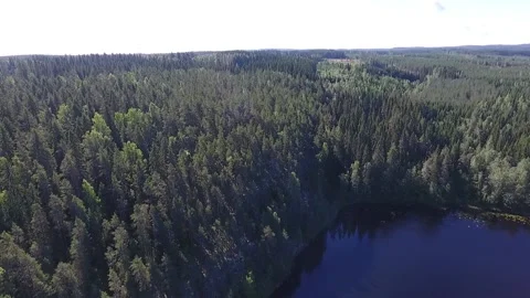 Flying down in the forest. Aerial view of coniferous forest in Finland Stock Footage 134792670