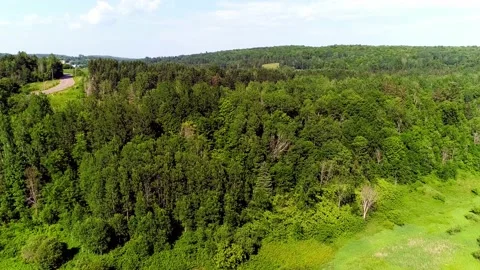Flying down from high to low near the grass 動画素材 136421829