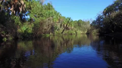Flying down jungle river, 4K Stock Footage 59521086