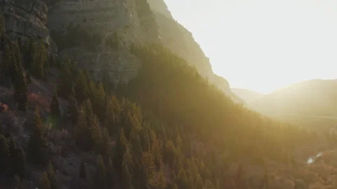 Flying down mountainside forest to reveal Provo Canyon at sunset in autumn Video stock 242825049