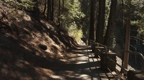 Flying Down Nature Trail with Waterfall in Background Stock Footage 46216840