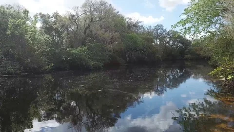 Flying Down the River Florida Swamp Drone Boat Vídeos de archivo 88962700