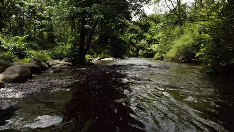 Flying down a river Stock Footage 113704135