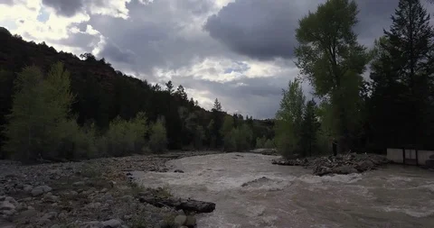 Flying down a rushing mountain river through dense pine trees Video stock 111503420