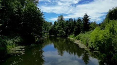 Flying down the Sammamish river  Vídeos de archivo 294708706