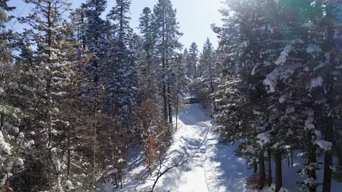 Flying down a snowy mountain road next to cabins amongst pine trees 스톡 동영상 111606234