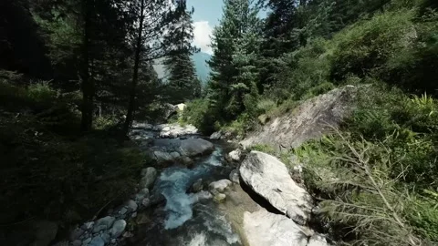 Flying Down a stream of water , Slow moving nature river Video stock 252046798