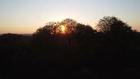 Flying down with Sunset behind a tree 스톡 동영상 218309142