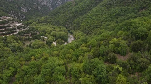 Flying down towards mountain river through forest Stock Footage 220383369